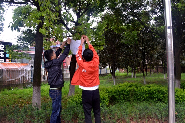 1491797767484197.jpg DSC_5385.JPG