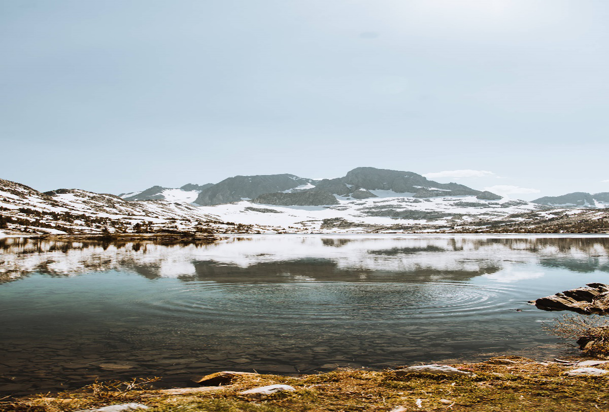 1528774446492776.png 图片1.png